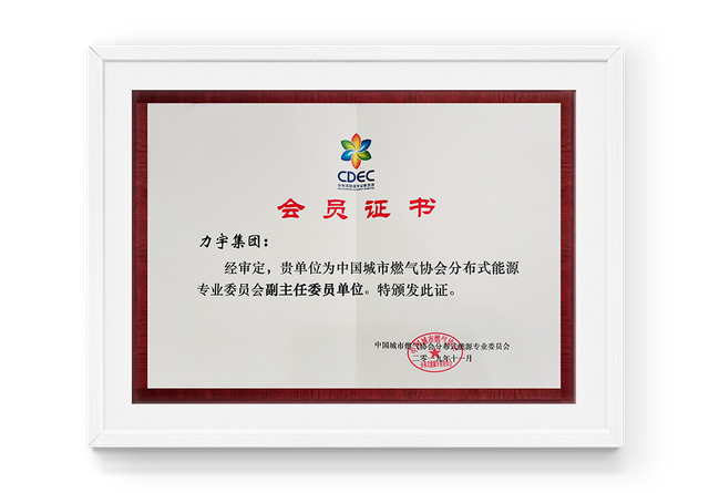 Evaluaci&oacute;n de la Unidad de Vicepresidente del Comit&eacute; de Profesionales de Energ&iacute;a Distribuida de China Urban Gas Association