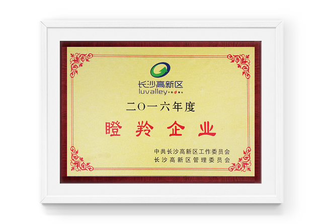 2016 Gazelle Enterprise en Changsha High Tech Zone