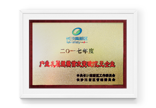 Por primera vez en 2017, la escala de desarrollo industrial de la zona de alta tecnolog&iacute;a Changsha super&oacute; los 100 millones de yuanes para las empresas