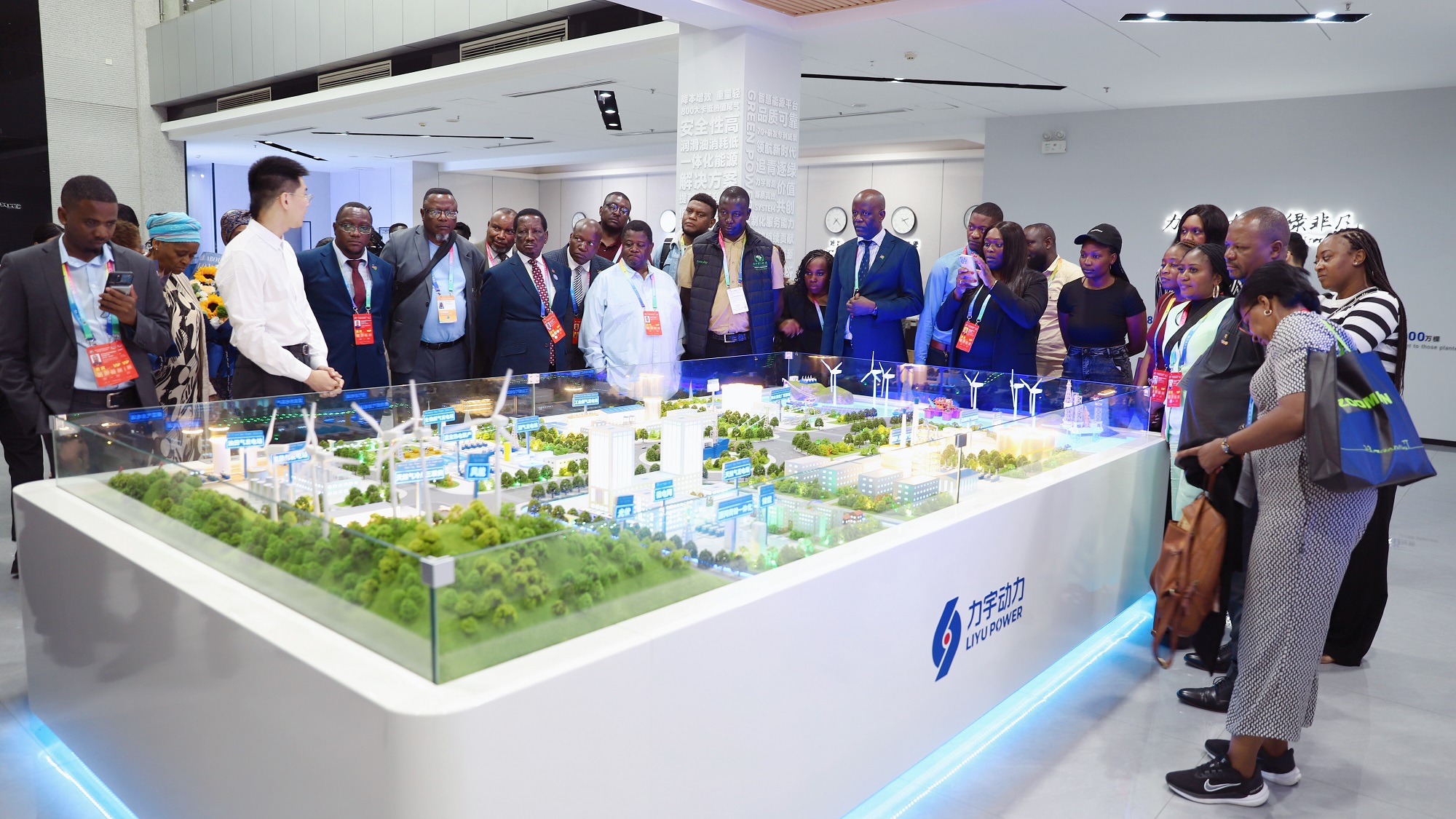 6. Pantalla del modelo de proyecto Namibian Delegation Reviews