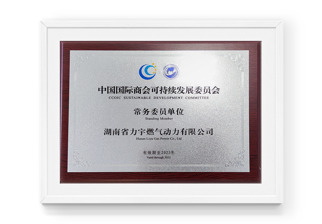 Evaluaci&oacute;n de la unidad miembro del Comit&eacute; Ejecutivo del Comit&eacute; de Desarrollo Sostenible de la C&aacute;mara de Comercio Internacional de China