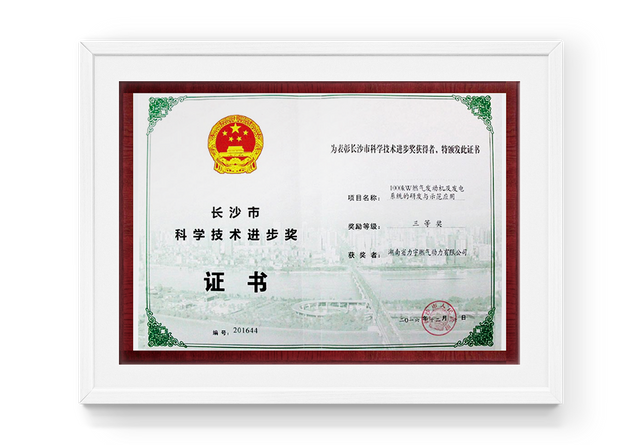 Premio de progreso de la ciencia y tecnolog&iacute;a de Changsha